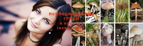 спайс Осташков