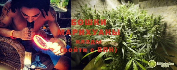 spice Гусиноозёрск