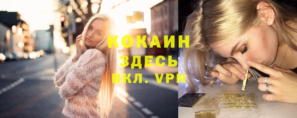 дживик Остров