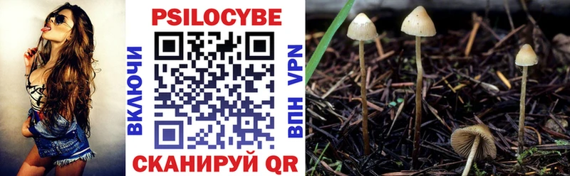Галлюциногенные грибы Cubensis  Светлый 